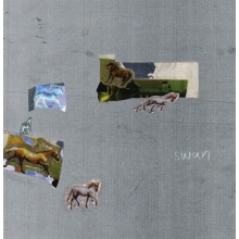 Fazed On a Pony - Swan