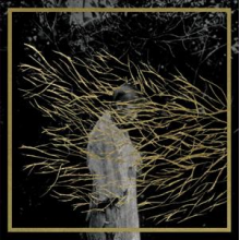 Forest Swords - Engravings