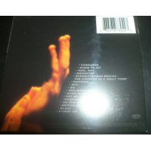 Pearl Jam - Live On Two Legs