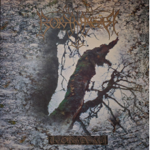 Borknagar - Olden Domain