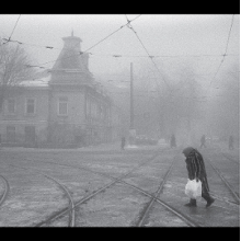 Neselovskyi, Vadim - Perseverantia