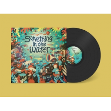 V/A - Something In the Water