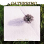 Gathering - Nighttime Birds