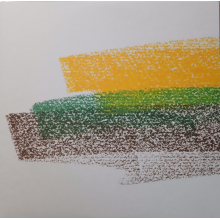 Flore Laurentienne - Volume Iii