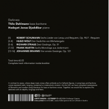 Dahlmann, Thilo & Hedayet Jonas Djeddikar - Darkness