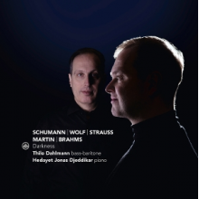 Dahlmann, Thilo & Hedayet Jonas Djeddikar - Darkness