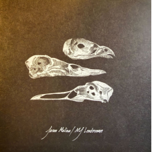 Molina, Jason & Mj Lenderman - 7-the Last Three Human Words / Just Be Simple