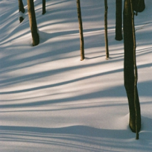 Pine, Isabel - Fables