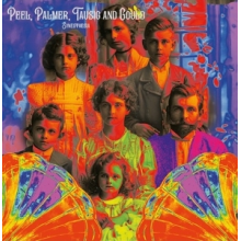 Peel & Palmer & Tausig & Gould - Synesthesia