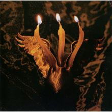 Shmulikraut - Guts Voyage