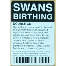 Swans - Birthing