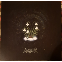 Lucidvox - That's What Remained