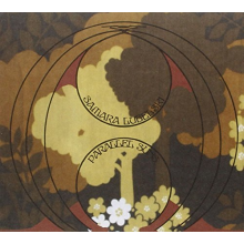 Lubelski, Samara - Parallel Suns