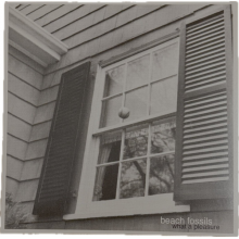 Beach Fossils - What a Pleasure