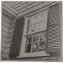 Beach Fossils - What a Pleasure
