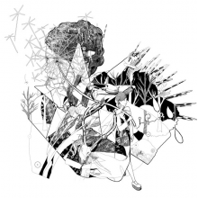 Hoop, Jesca - Selective Memory