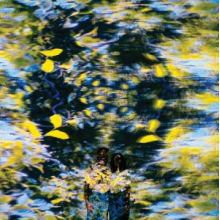 Chaton Laveur - Labyrinthe