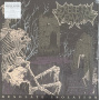 Skeletal Remains - Desolate Isolation