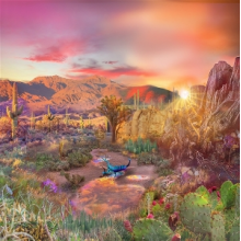 Fthmlss & Catch99 - Taijitu