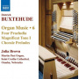 Buxtehude, D. - Organ Music Vol.6