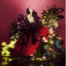 Ware, Jessie - Superbloom