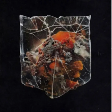 Shields - Death & Connection