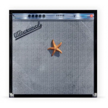 Neighbourhood, The - (((((ultrasound)))))+