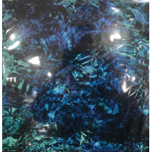 Aoba, Ichiko - Luminescent Creatures