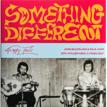 Bilezikjian, John & Raja Zahr - 7-Something Different