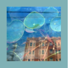 Reds, Pinks & Purples - Acknowledge Kindness