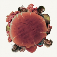 Tin Foil - Chicken Sandwich