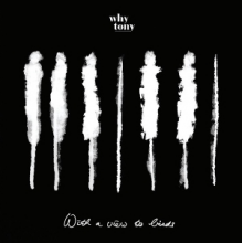 Why Tony - With a View To Birds