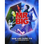 Mr. Big - Raw Like Sushi 114