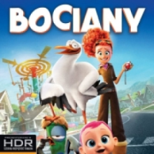 BOCIANY  (2BD 4K)