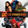 LIGA SPRAWIEDLIWOŚCI (DVD) KOLEKCJA DC