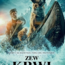 ZEW KRWI (DVD)