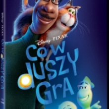 CO W DUSZY GRA (DVD)