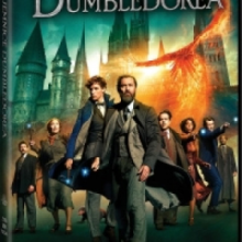 FANTASTYCZNE ZWIERZĘTA: TAJEMNICE DUMBLEDORE'A (DVD)
