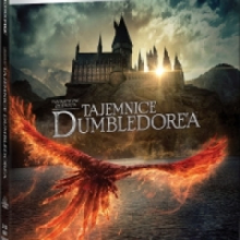 FANTASTYCZNE ZWIERZĘTA: TAJEMNICE DUMBLEDORE'A (2BD 4K)