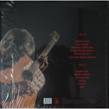 Richie Furay - In the Country