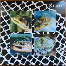 Size - Nadie Puede Vivir Con Un Monstruo