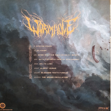 Wormhole - Almost Human