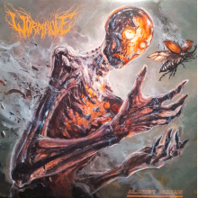 Wormhole - Almost Human