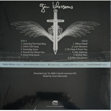 Gin Blossoms - Live In Concert