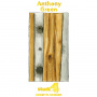 Green, Anthony - Studio 4 Acoustic Session