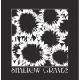 Shallow Graves - Givin' Out of Hand