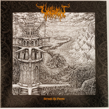 Valdrin - Beyond the Forest