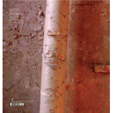 Vleuten, Maarten Van Der - High Intolerance