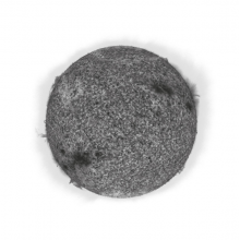 Astralasia - Astralashes