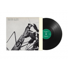 Barnett, Courtney - Creature of Habit